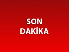 Toplanan inek sütü miktarı yıllık bazda azaldı