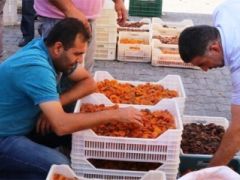 Yüksek rekolte kayısı fiyatlarını yarı yarıya düşürdü