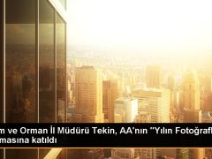 Tarım ve Orman İl Müdürü Tekin, AA’nın “Yılın Fotoğrafları” oylamasına katıldı