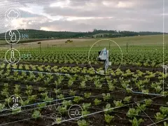 Tarımda Yapay Zeka: Geleceğin Tarımının Temeli