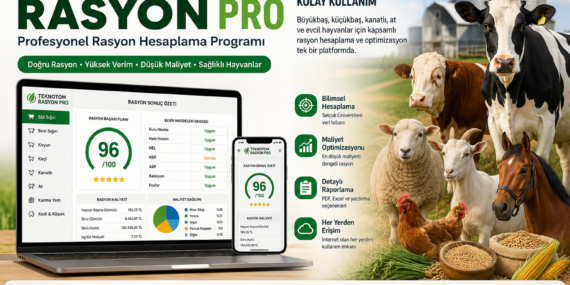 Rasyon Hesaplama Programı