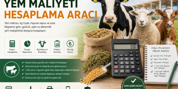 Yem Maliyeti Hesaplama Aracı