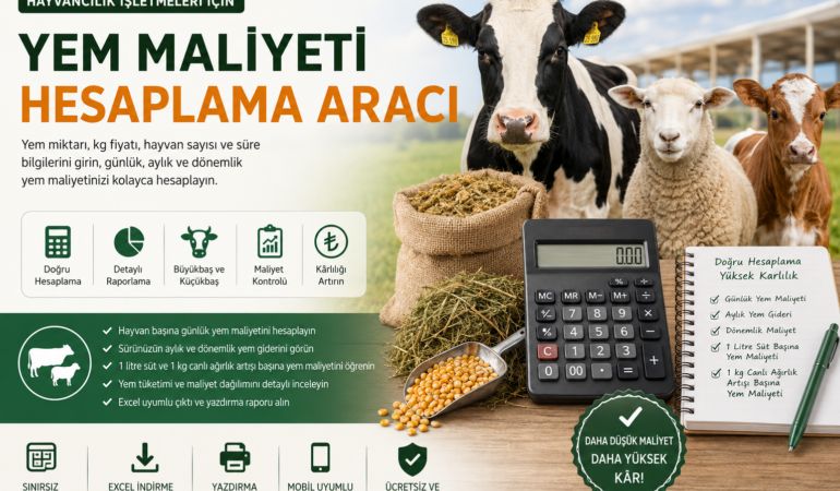 Yem Maliyeti Hesaplama Aracı